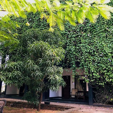 Dambulla Rock Arch Bed and Breakfast Exteriör bild