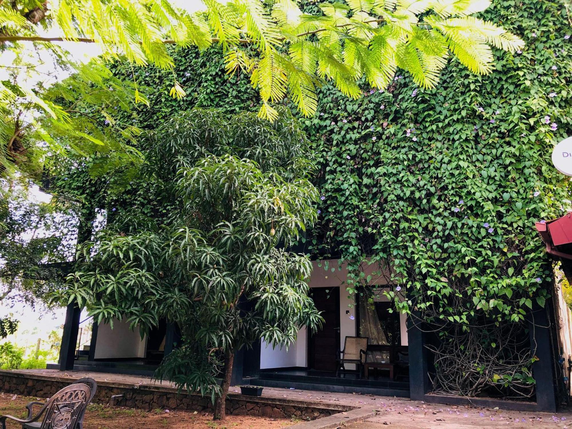 Dambulla Rock Arch Bed and Breakfast Exteriör bild