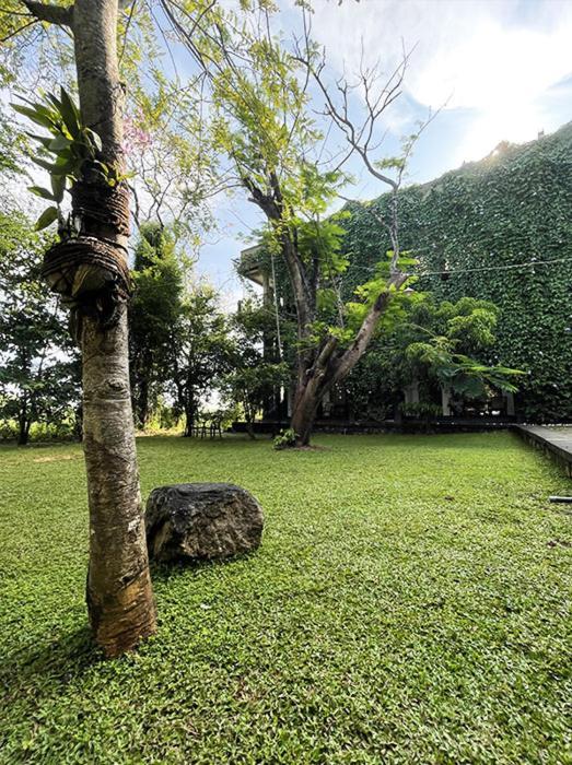 Dambulla Rock Arch Bed and Breakfast Exteriör bild